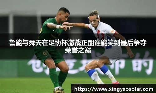 鲁能与舜天在足协杯激战正酣谁能笑到最后争夺荣誉之巅